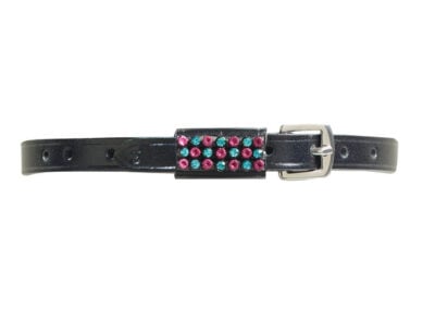 Ovation Jewel Spur Straps - Turquoise/Pink
